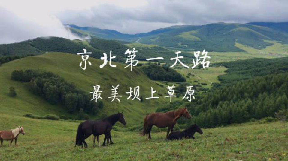 【丰宁坝上草原&草原徒步&千松坝】坝上驿捷酒店 2日草原团建活动