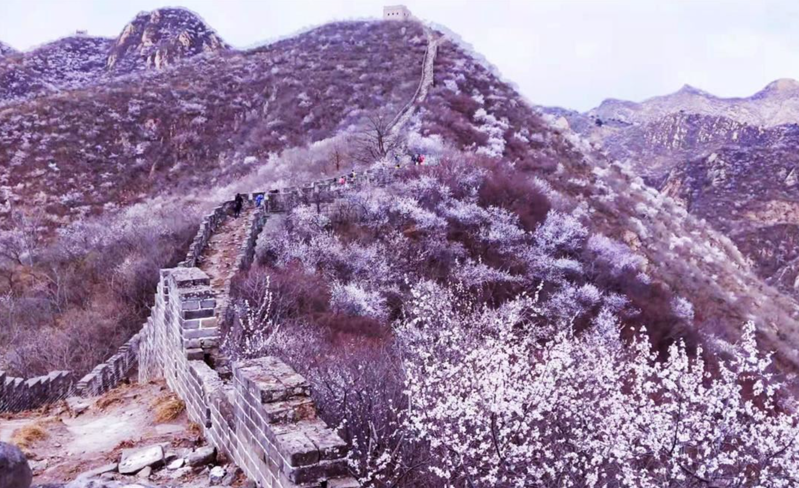 黄花城水长城-踏青赏花-手机互联网-最强战队-1日主题团建